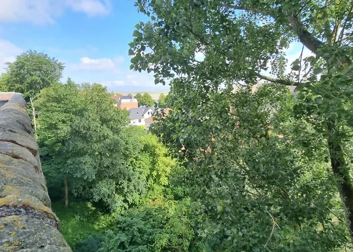 Avec Piscine Les Planches A Valery Somme Villa